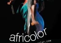 Festival Africolor du 13 novembre au 20 décembre 2009