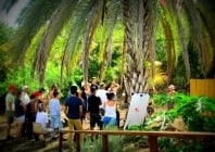 La permaculture, c'est quoi ? 3 conférences à la Réunion
