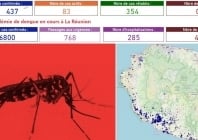 Tableau de bord du coronavirus et de la dengue à la Réunion