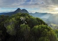 La Réunion : la plus haute des îles de l'océan Indien