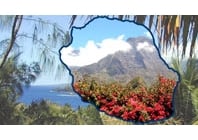 rencontre-la-reunion.fr : les rencontres sympas de La Réunion