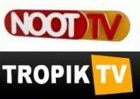 Télé Kréol, Noot TV et Tropik TV : 3 chaînes réunionnaises diffusées en métropole