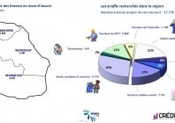Les métiers et secteurs qui recrutent à la Réunion en 2015