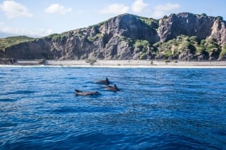 Expériences inédites à La Réunion