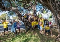 Arbre de l'année : le pié zépinar du Port en course