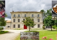 Pladuc : un coin de Réunion dans les vignobles du Cognac