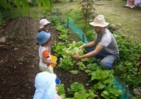 Une crèche Montessori à la Réunion