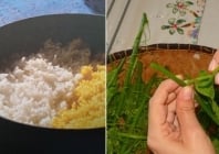 L'histoire du riz - grain - brède - cari