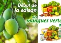 Lancement de la saison des mangues vertes pour rougails et achards