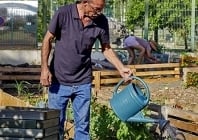 Le zoo du Chaudron transformé en jardins familiaux