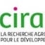 Chargé de communication et de coordination de projet (VSC) h/f