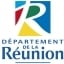 Directeur de l'enfance et de la famille h/f - Département de la Réunion (CDI)