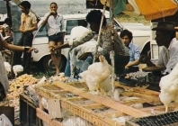 Bazardiers et marchés de la Réunion... avant