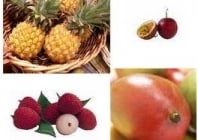 Colis de fruits de la Réunion : témoignages de consommateurs