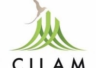 Directeur des ressources humaines CILAM h/f - CDI