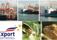 Exportations réunionnaises en hausse