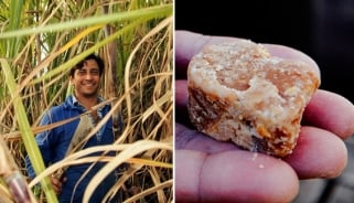 Alexis Rivière : il a relancé le Galabé, sucre de canne agricole