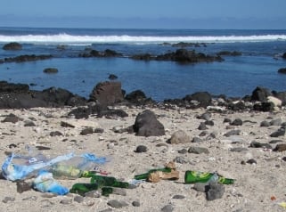 « Pendant mes vacances à la Réunion, j'ai ramassé les déchets que je trouvais »